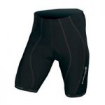 Endura Fs260 Pro 2 Lycra Shorts